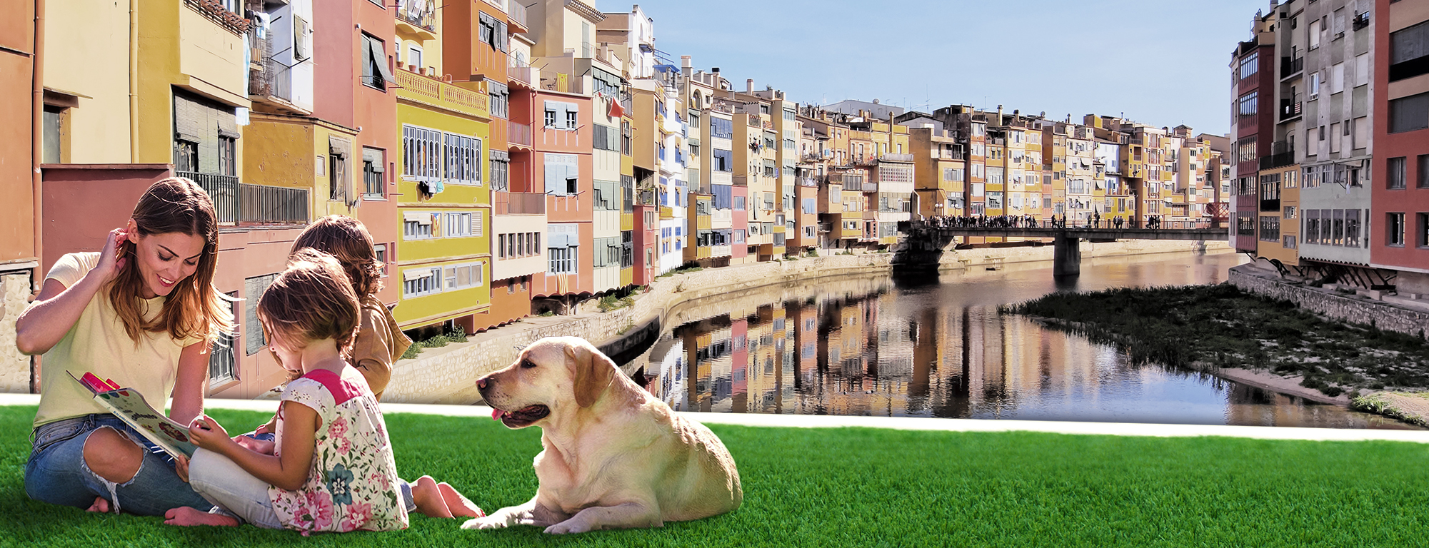 Césped Artificial Alfombra Erba Hierba, Barato Limpiador