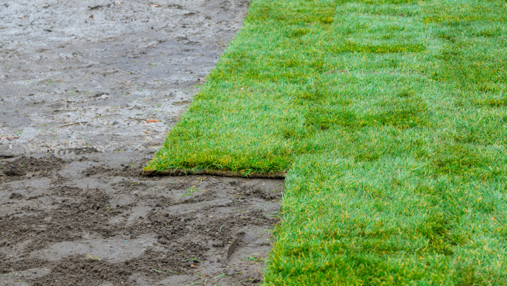 Mantenimiento del césped artificial sobre tierra