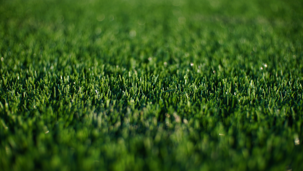 césped artificial siempre verde, bonito y duradero